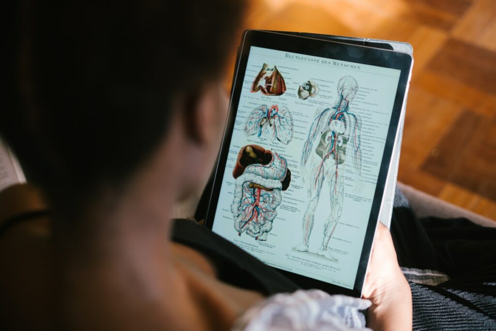 Une personne étudiant l'anatomie sur une tablette